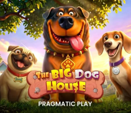 The Big Dog House